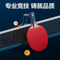 红双喜(DHS)天极蓝 直拍 单只装文体用品和得力(deli)安格耐特FH256文体用品